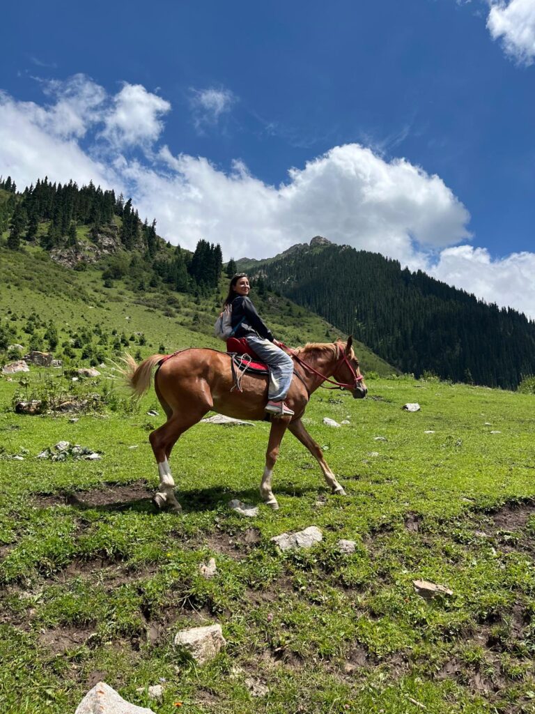 Viaggio in solitaria